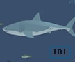 Jogo Online: Mad Shark